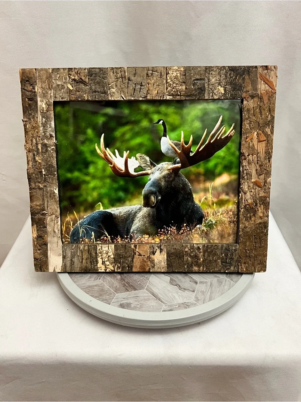 Rustic Moose Photo Frame Bark Wood Look 4x6 Tabletop Cabin Lodge Wildlife Decor